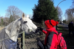 28235122_1963954283645312_4350382658763480308_o