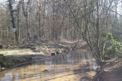 28337123_1963954246978649_5308835715248448638_o