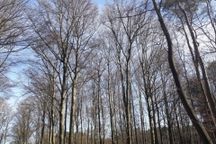 28424429_1963954183645322_5199836132222372516_o