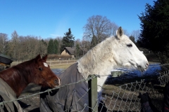 28514631_1963954226978651_6976017663566857170_o